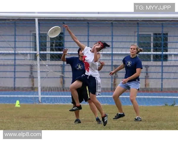 飞盘运动的魅力与挑战张伟分享他的飞盘生涯与成长故事